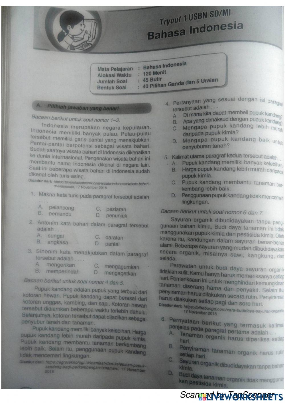 Bahasa Ind soal USBN