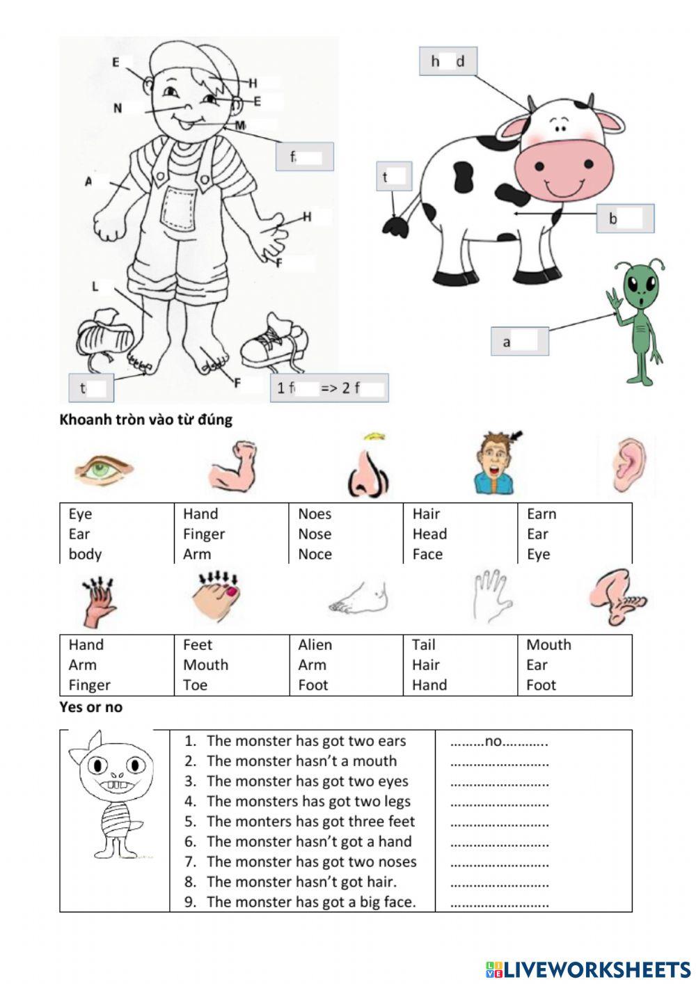 Starters unit 6 - body