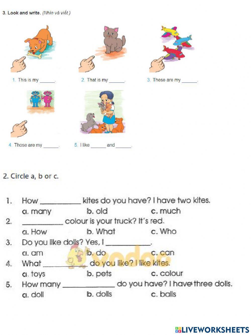 Grade 3 unit 17 What toys do you like?