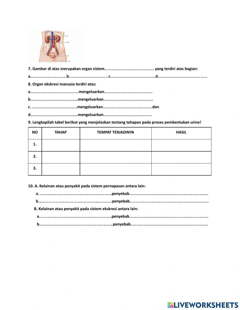 Soal pts ipa 8 genap