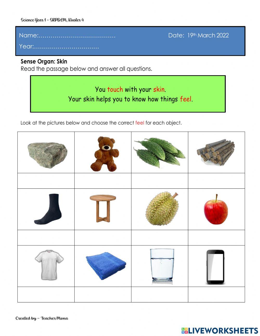 Sense OrganSkin 1842 Ramona Live Worksheets