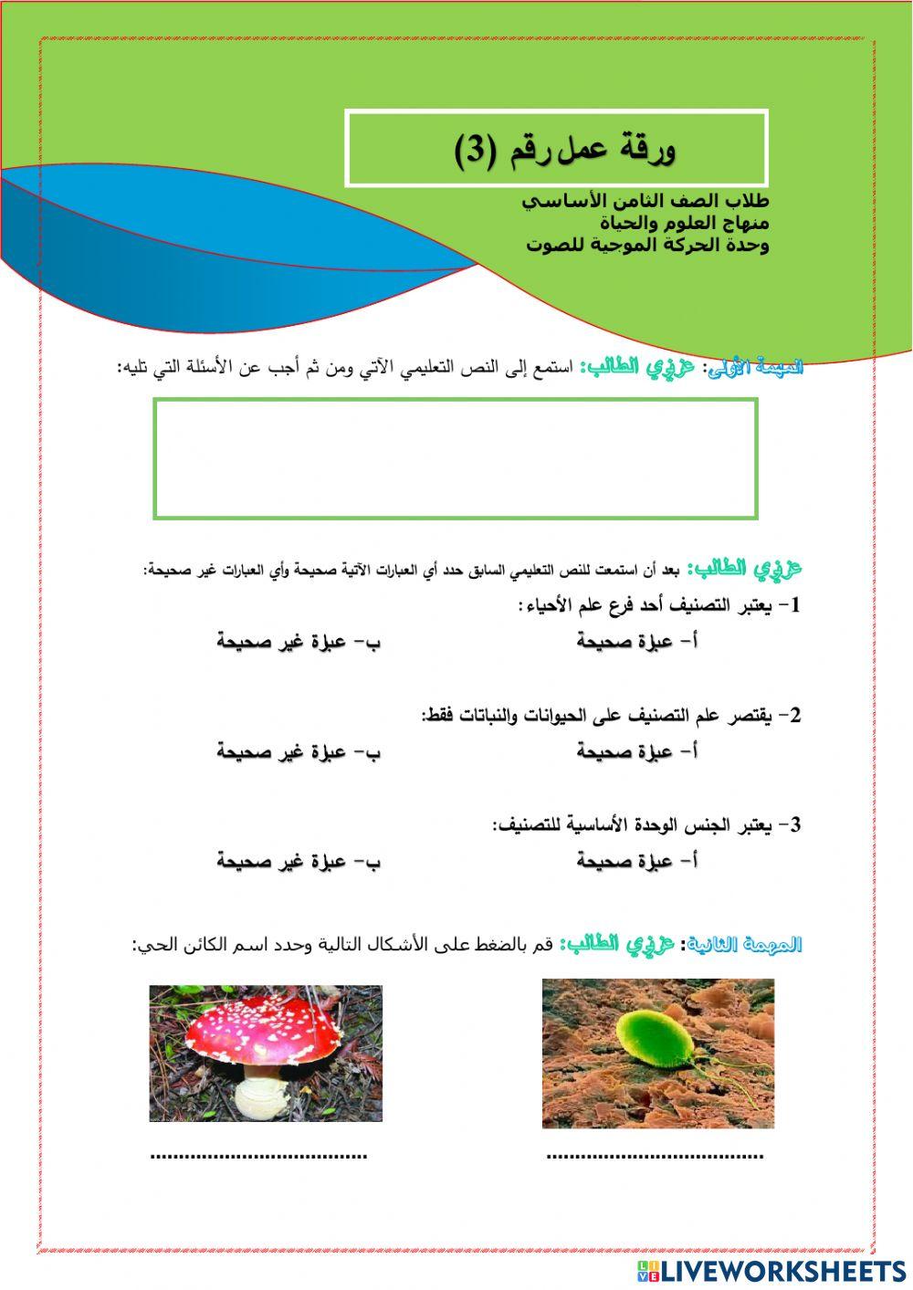 ورقة عمل التصنيف