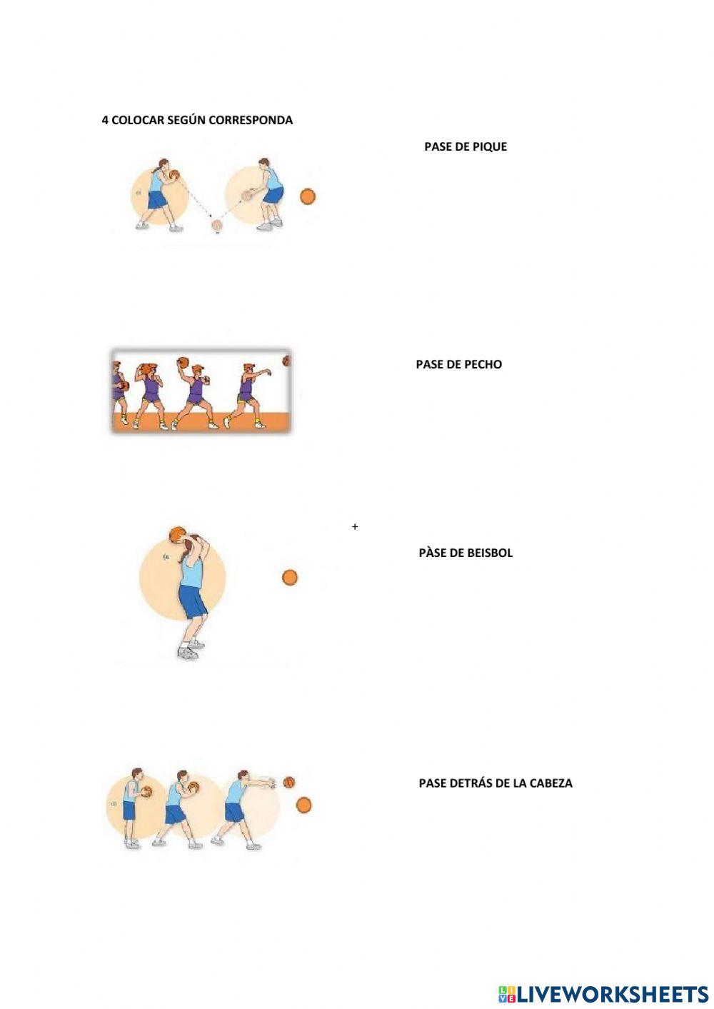 Tipos de pases antonio neira