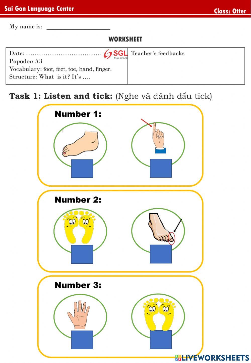 PPD A3 (foot, feet, toe, hand, finger)