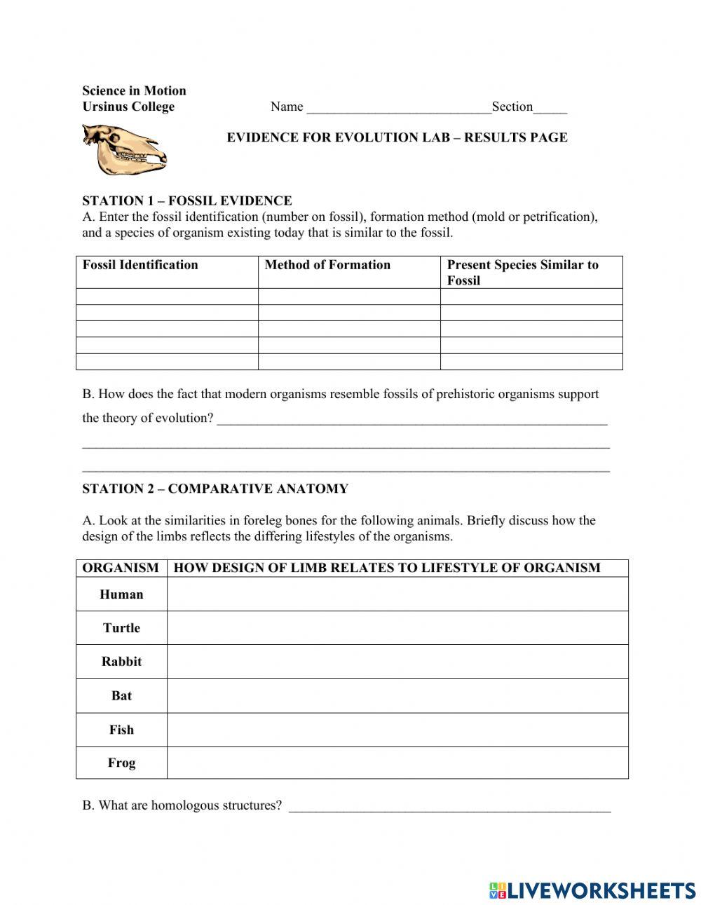 Evidence of Evolution Stations Lab online exercise for | Live Worksheets