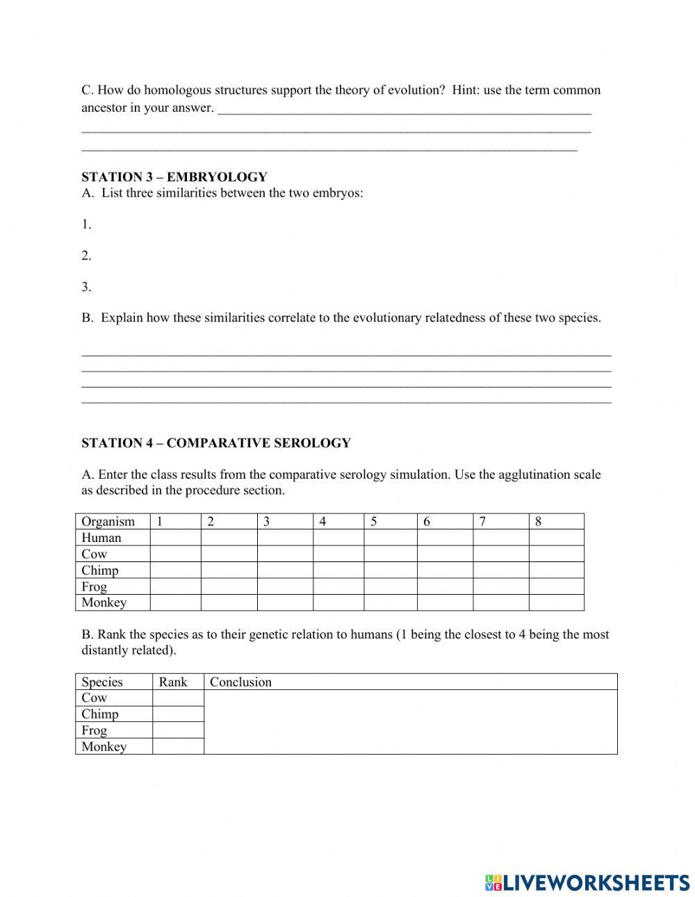 Evidence of Evolution Stations Lab online exercise for | Live Worksheets