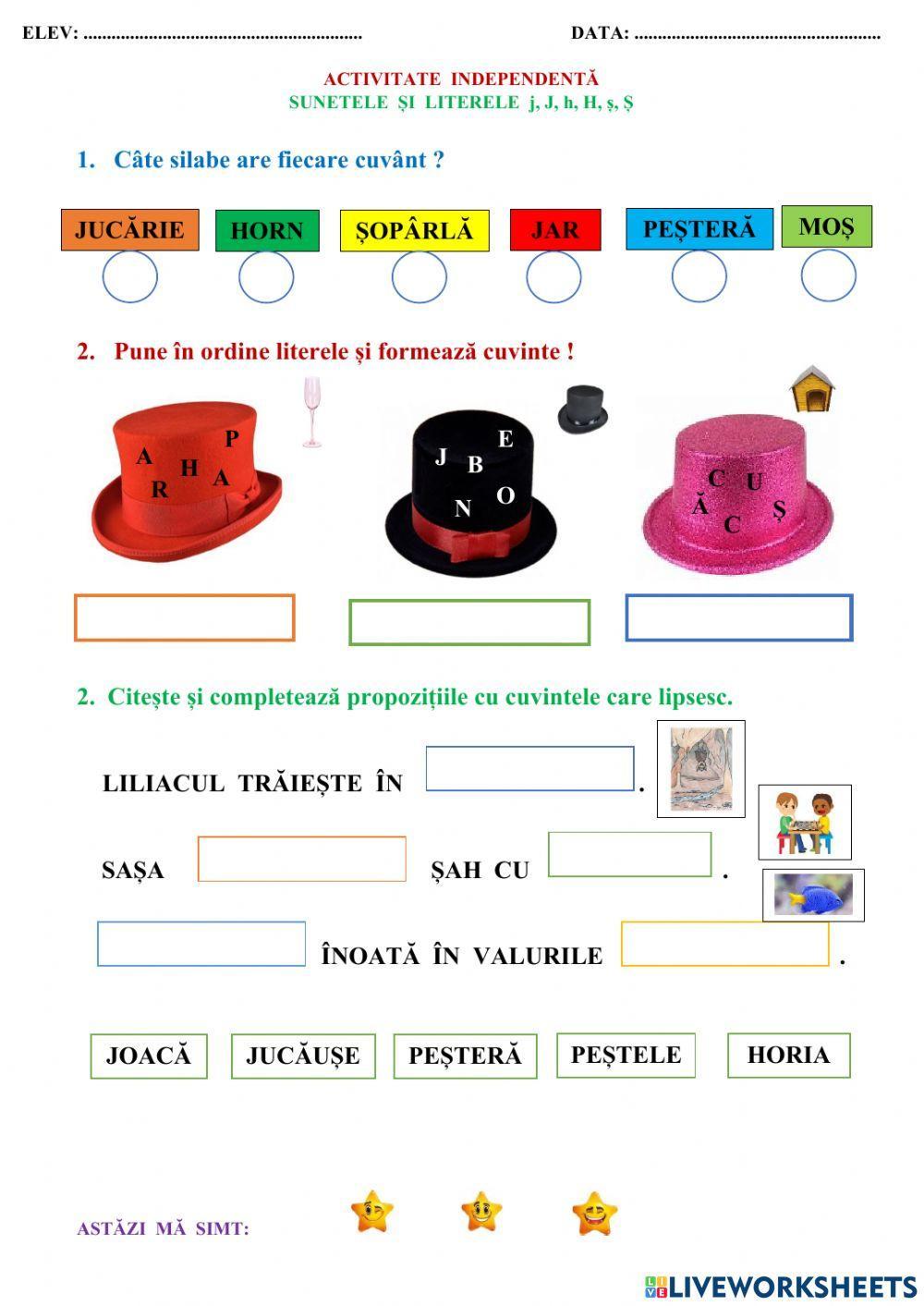 Sunetele și literele j, h, ș