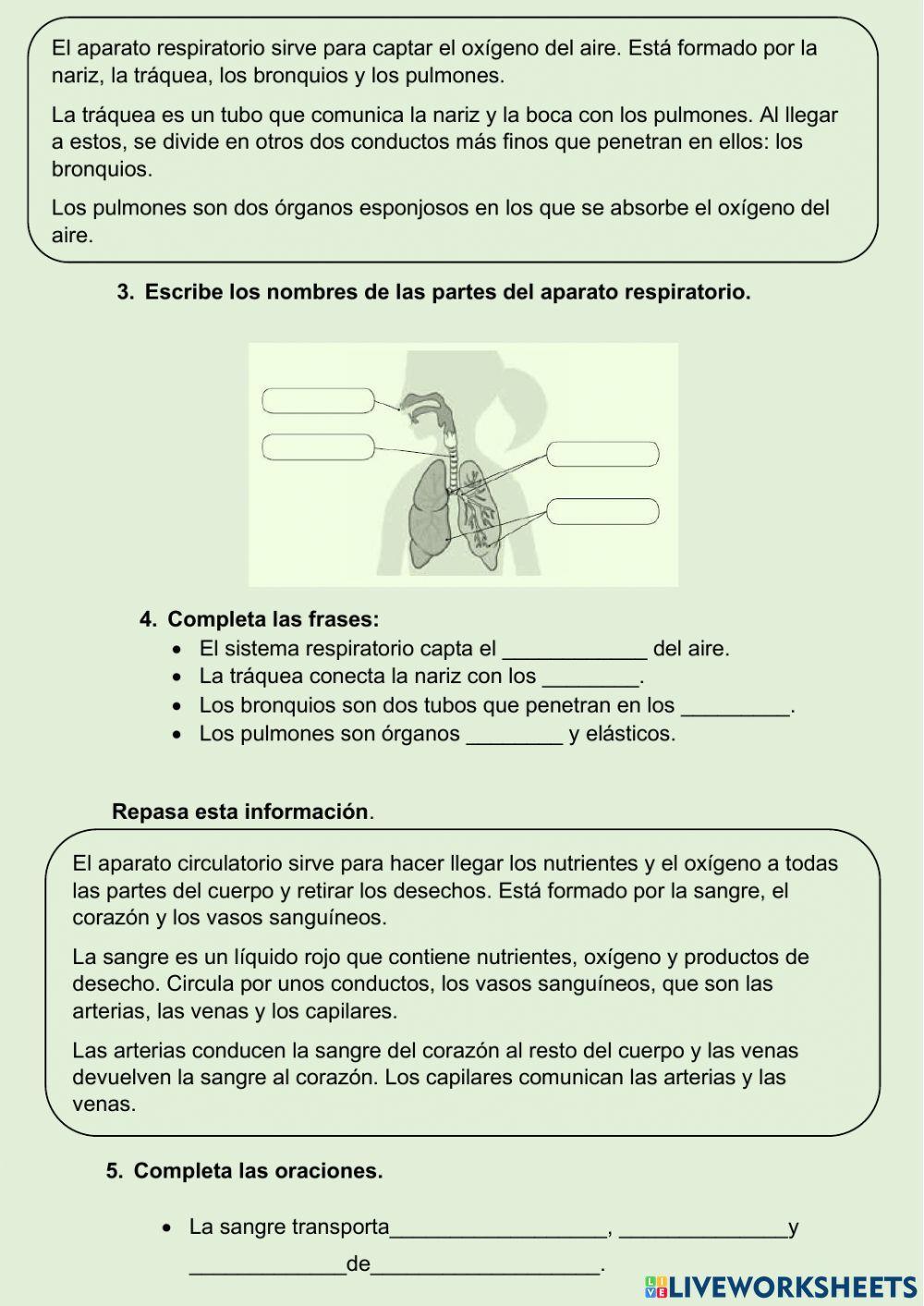 Función de nutrición