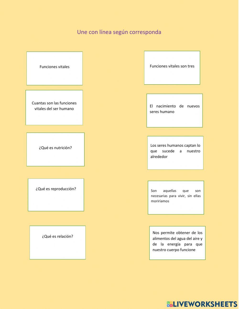 EL CUERPO HUMANO Y SUS FUNCIONES 