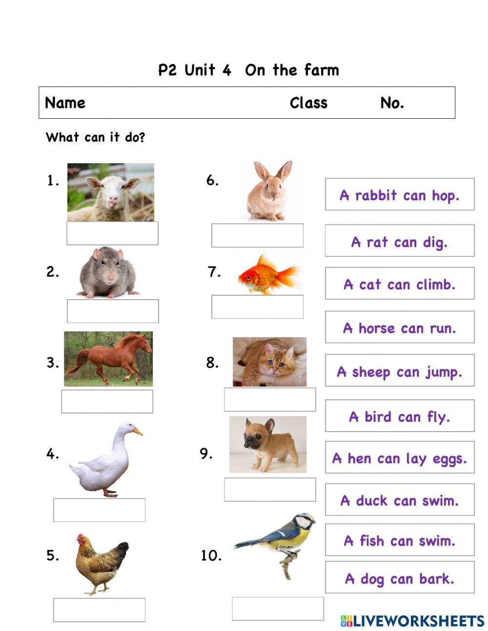 Unit4 What can it do?