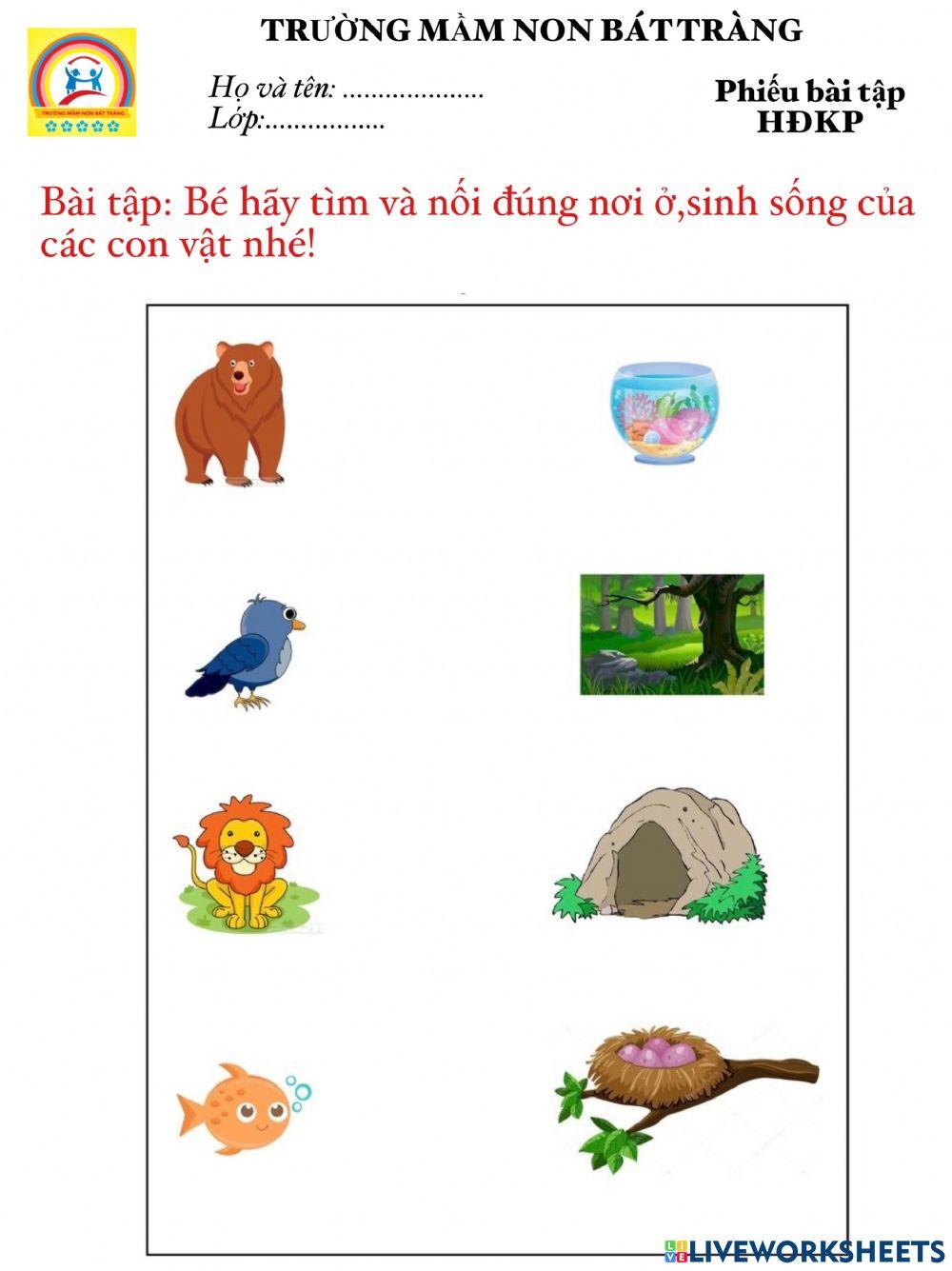 BT KP động vật- Trường MN Bát Tràng