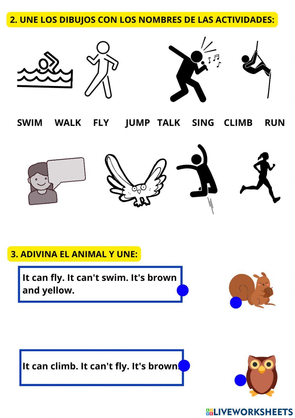 2ºU4: Animals+Can