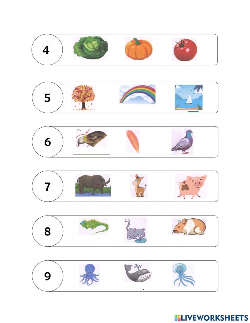 Worksheet no 3- Spelling Bee- level A