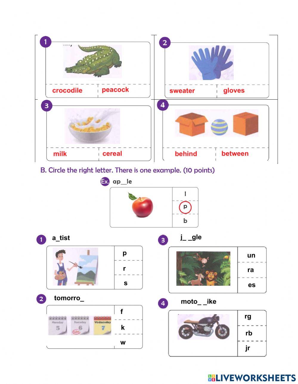 Worksheet no 3- Spelling Bee- level A