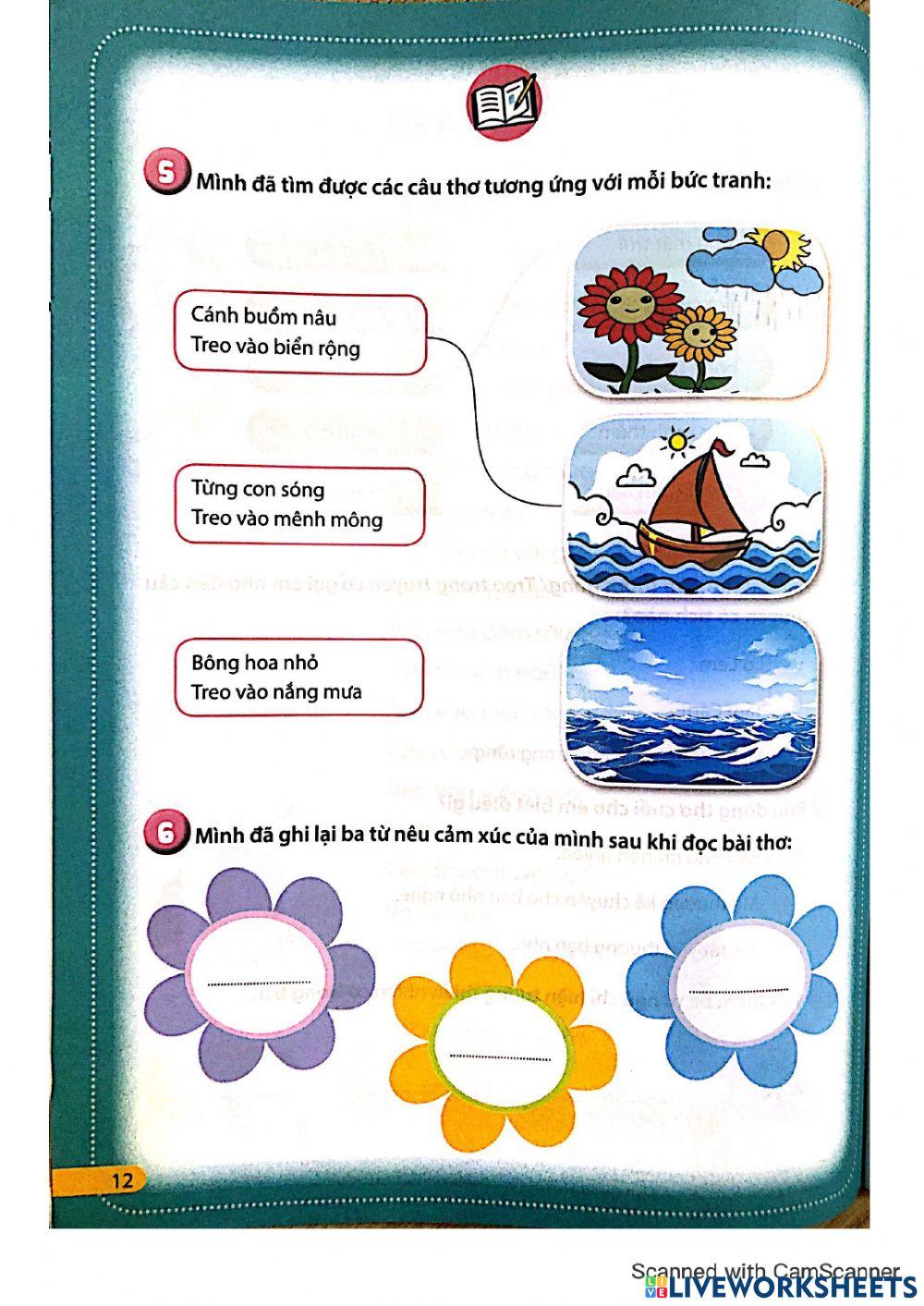 Phiếu TV2 - Tuần 29