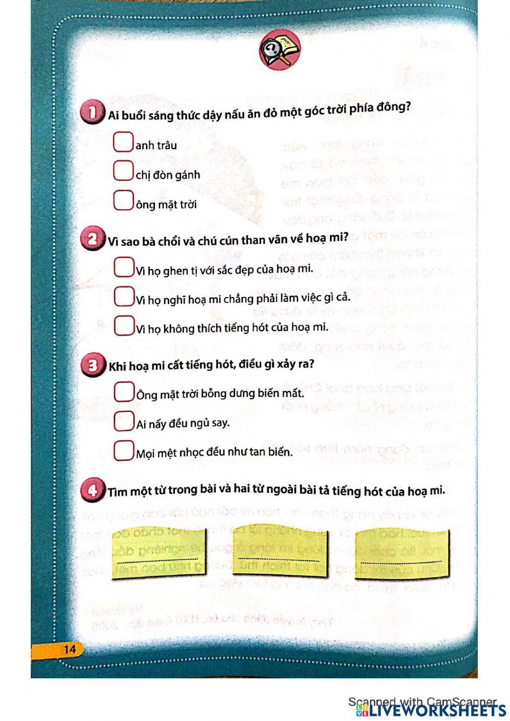 Phiếu TV2 - Tuần 29