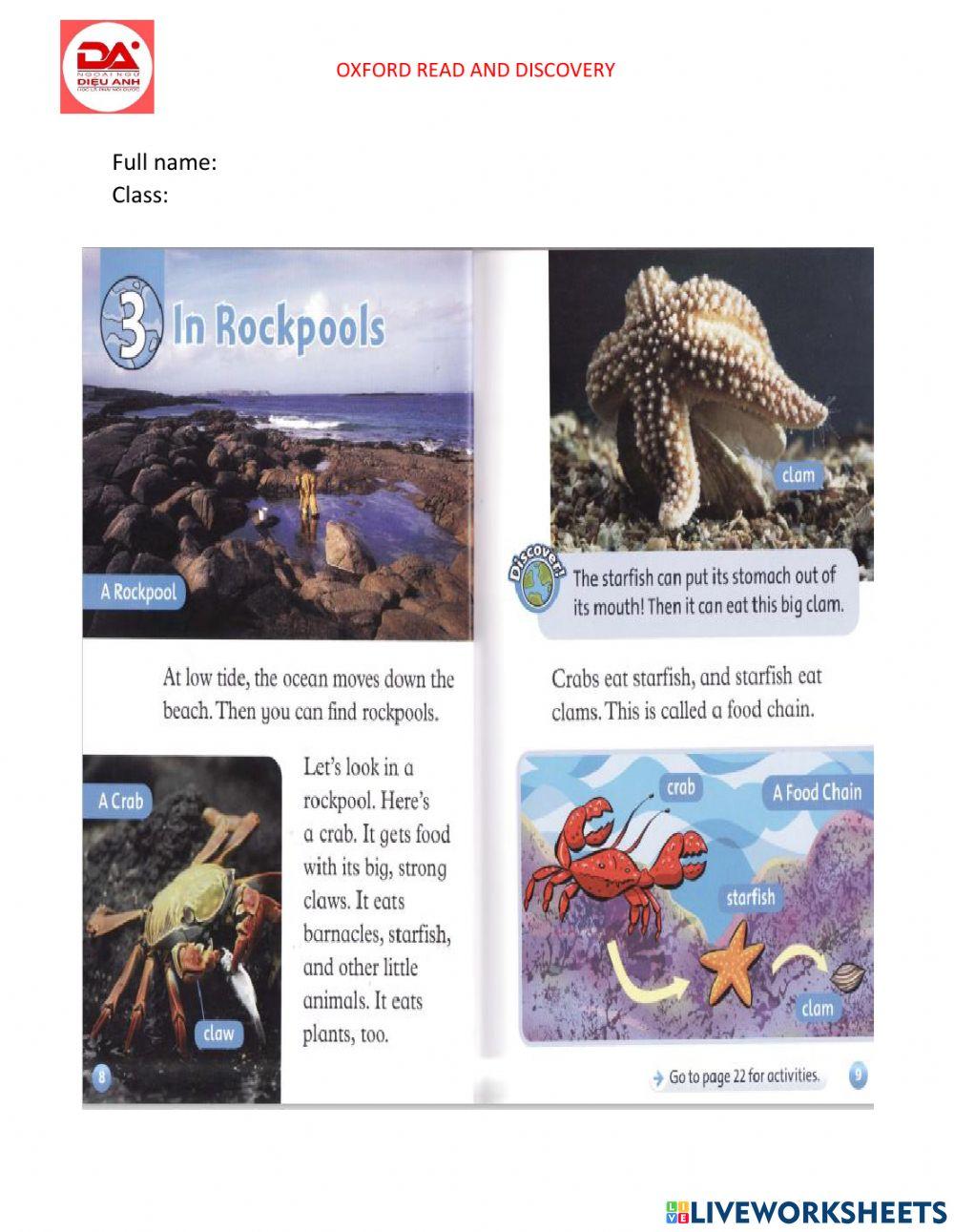 DieuAnh In Rockpools (at the beach)