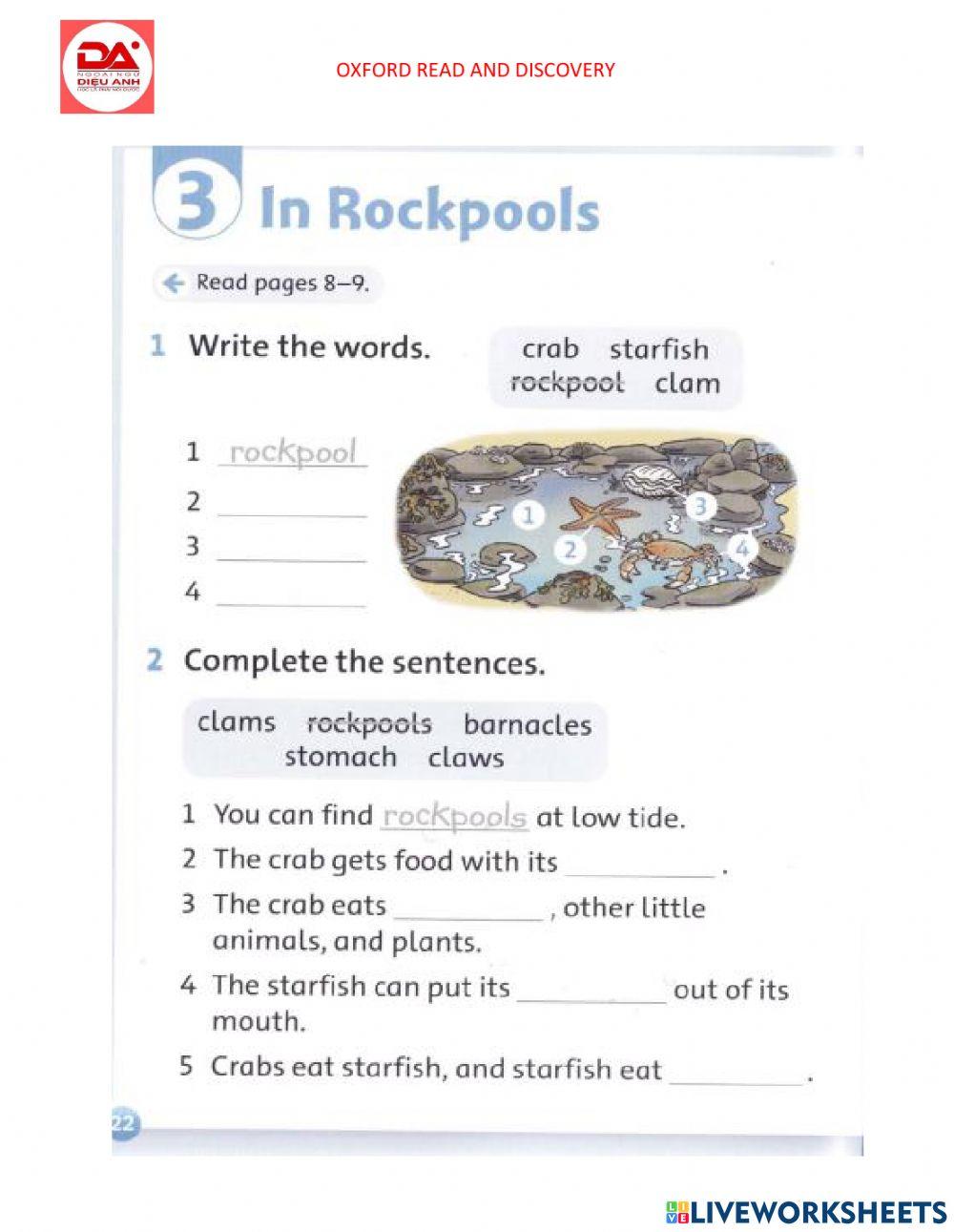 DieuAnh In Rockpools (at the beach)