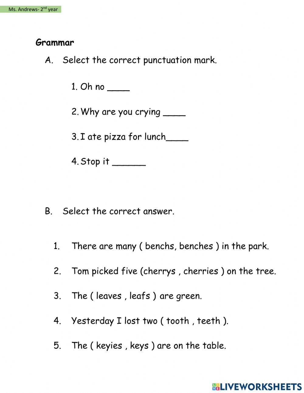 Language Arts Revision Worksheet 1