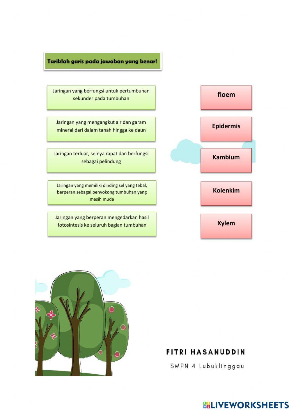 Struktur dan fungsi jaringan tumbuhan