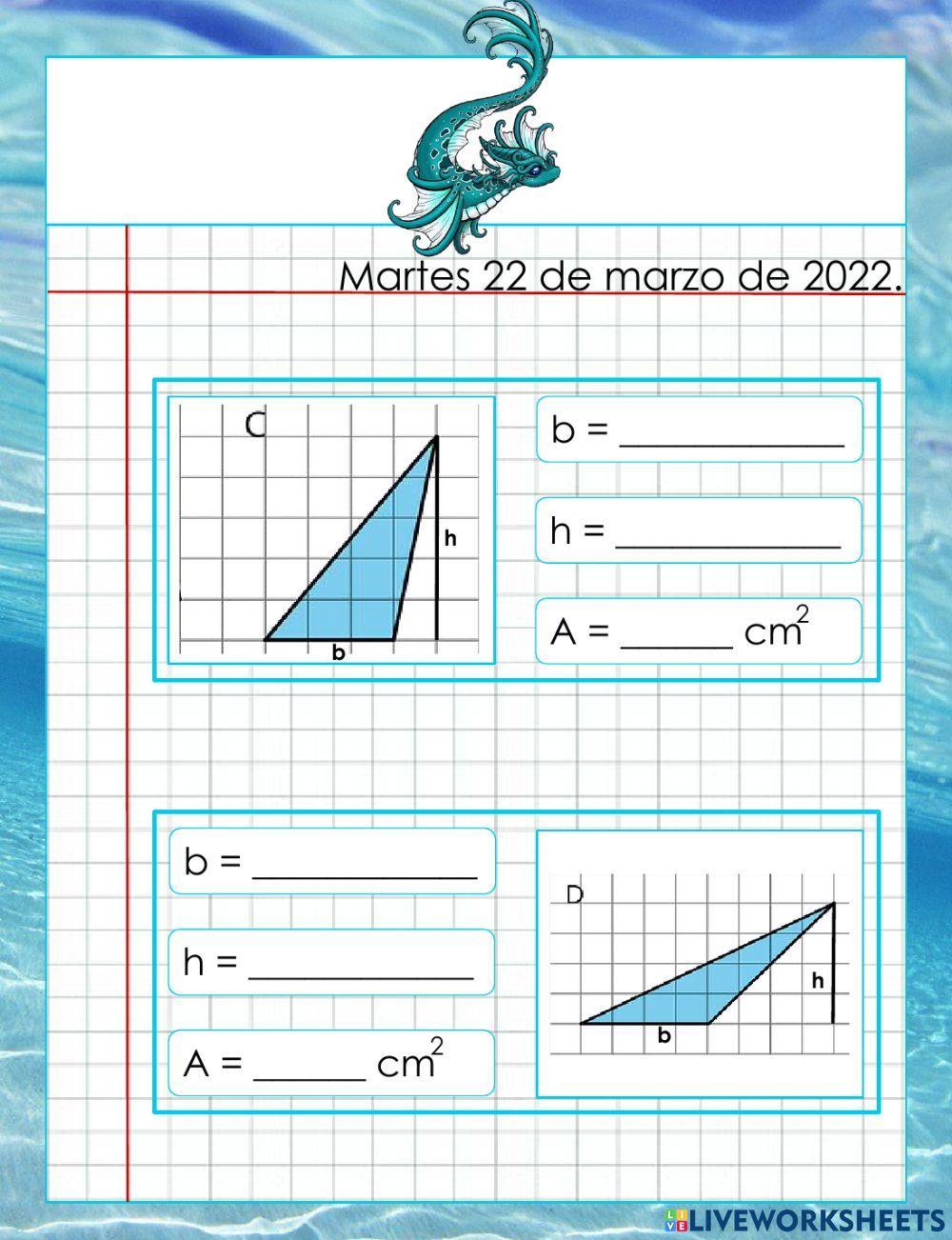 Área de los triángulos