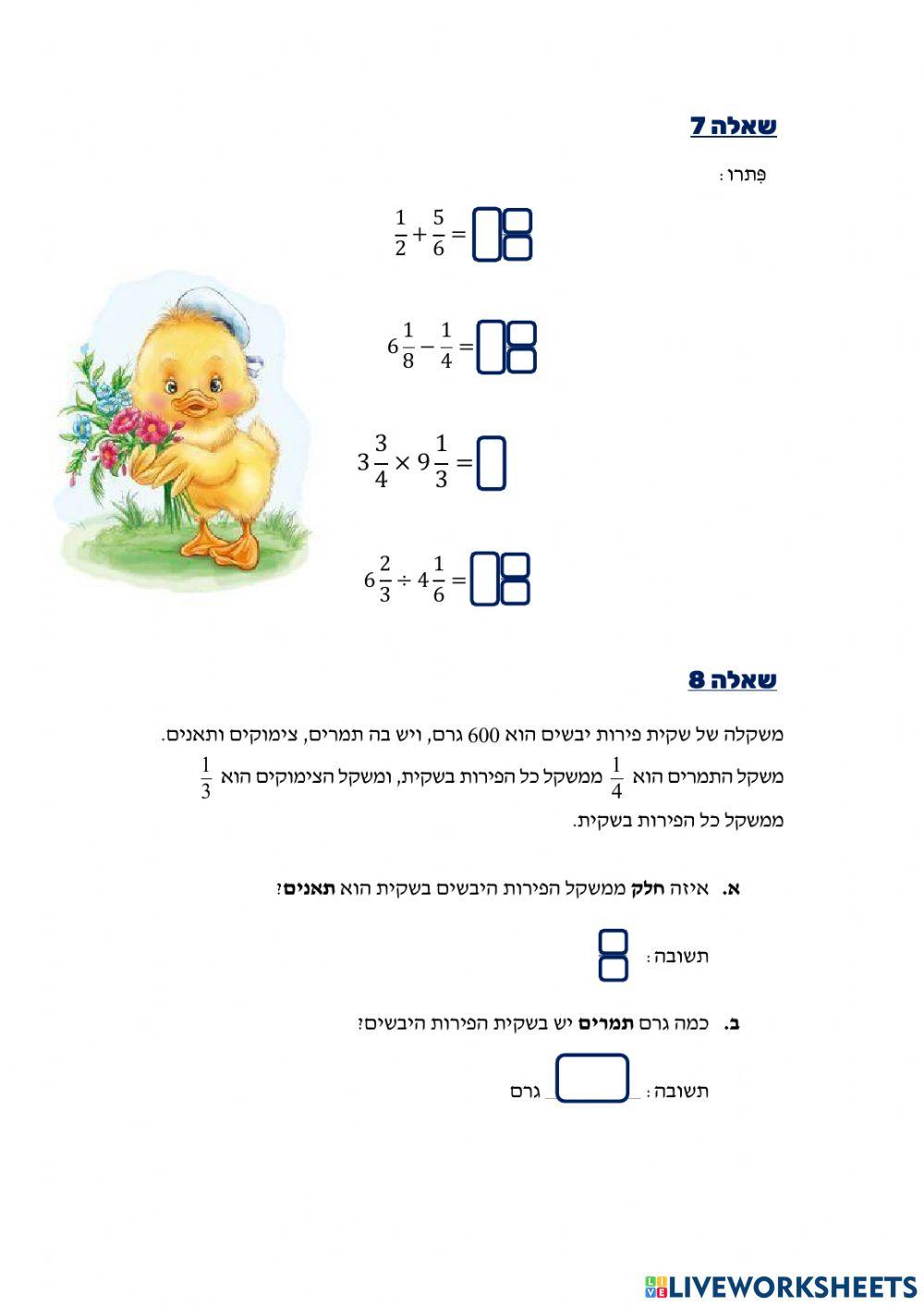 חזרה למבחן מחצית