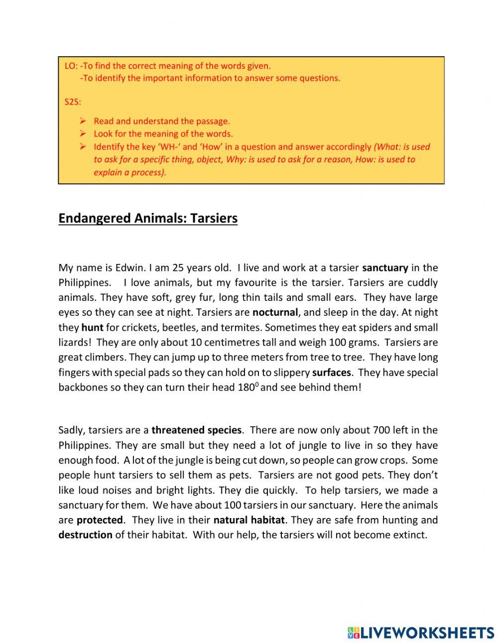 Endangered Animals-Tarsier