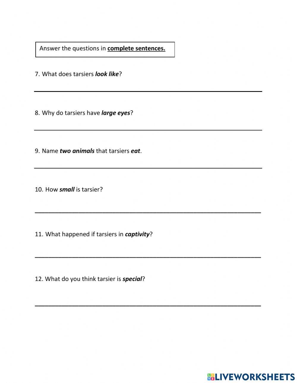 Endangered Animals-Tarsier