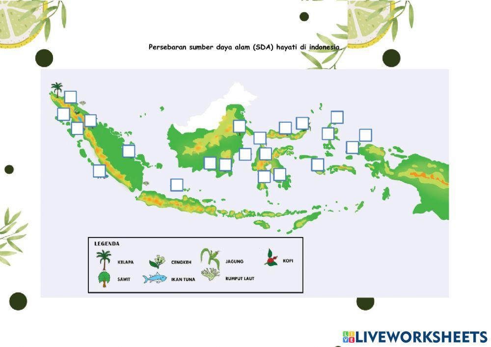 Lkpd perangkat 1 siklus 3