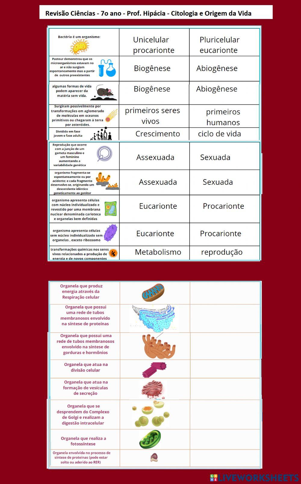 Citologia e Origem da Vida Revisão 7 ano