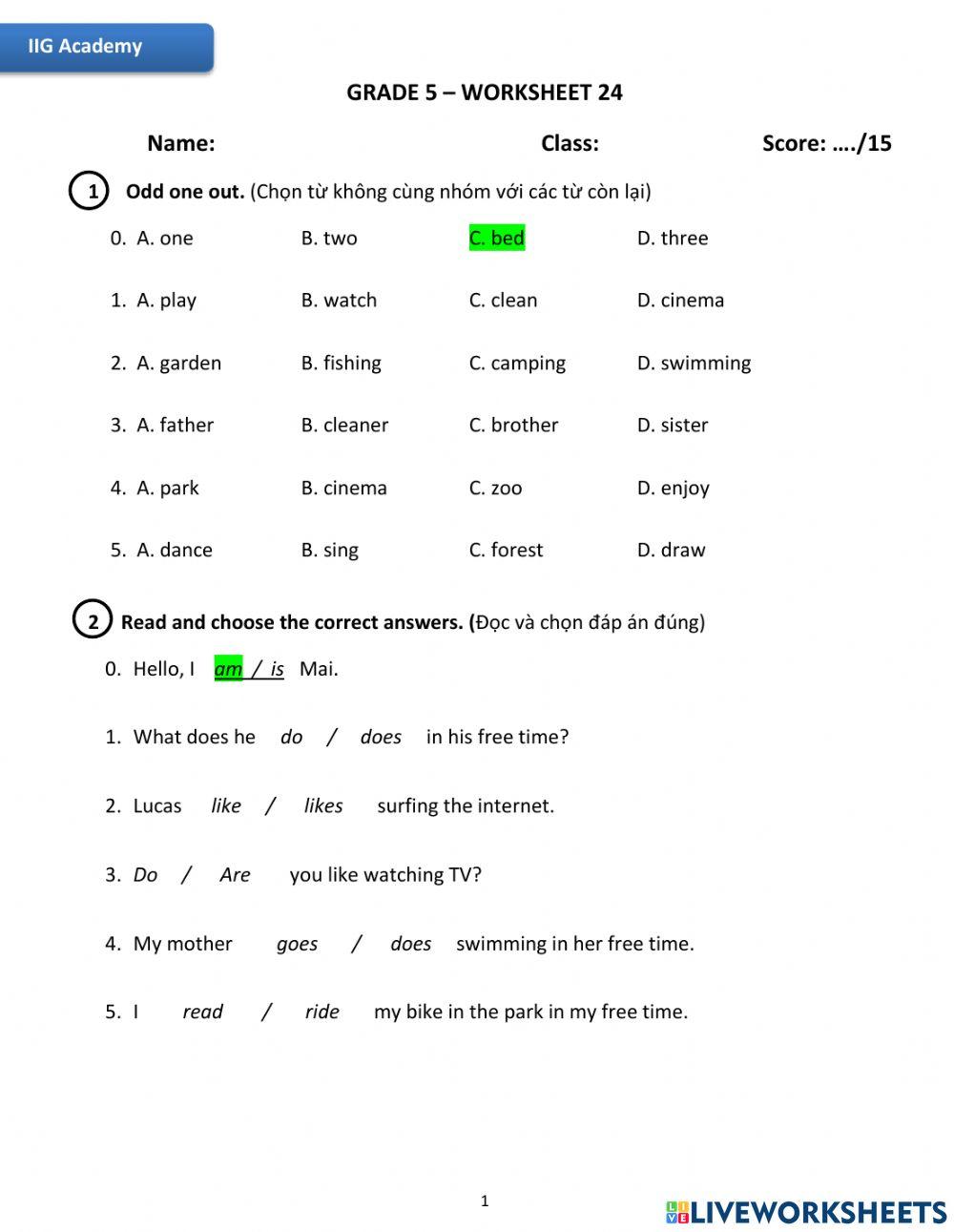 IIG-Grade 5-Worksheet 24