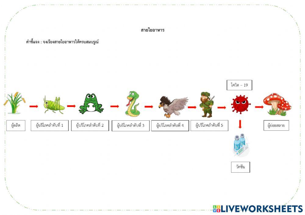 สายใยอาหาร