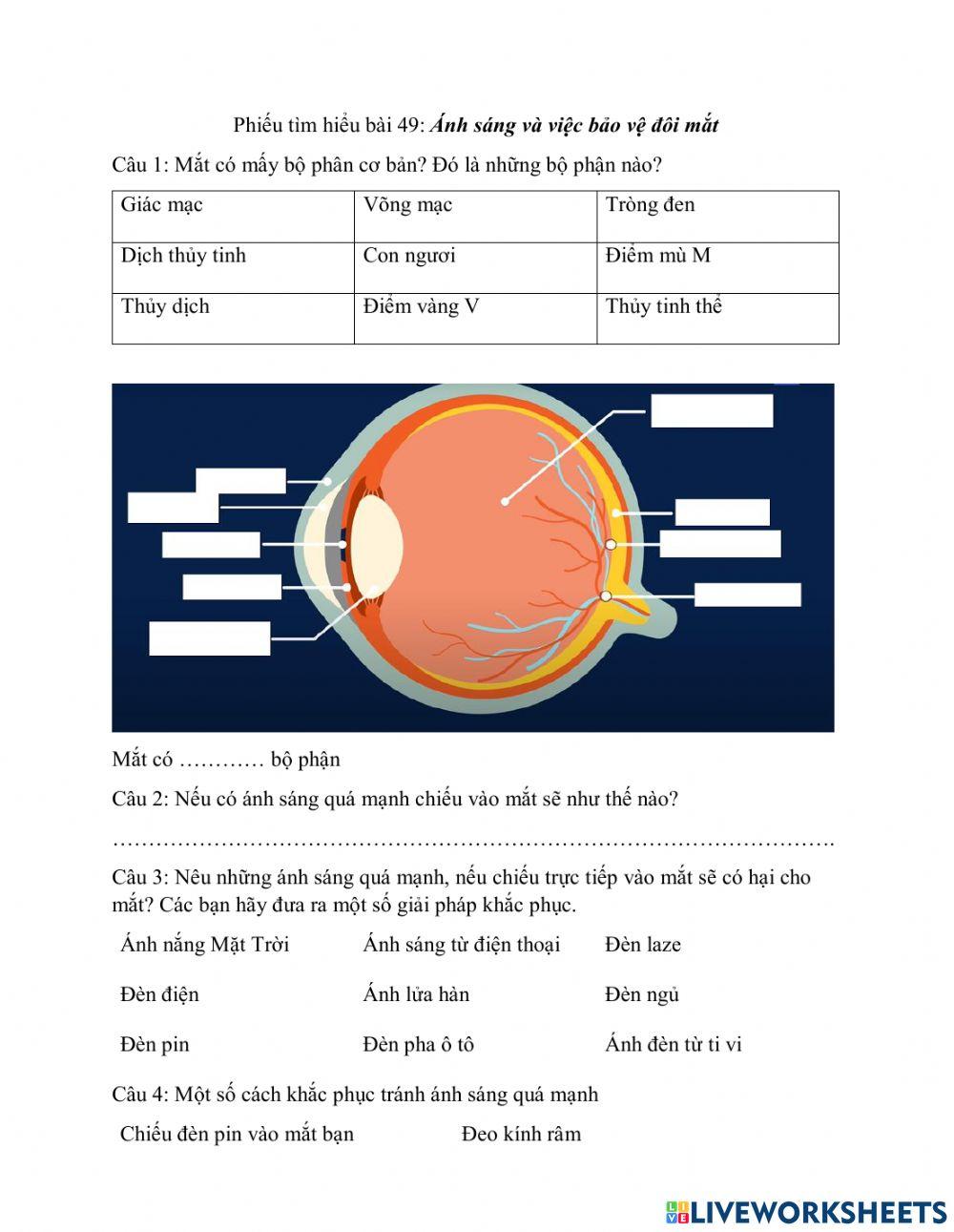 Phiếu tìm hiểu bài Ánh sáng và việc bảo vệ đôi mắt