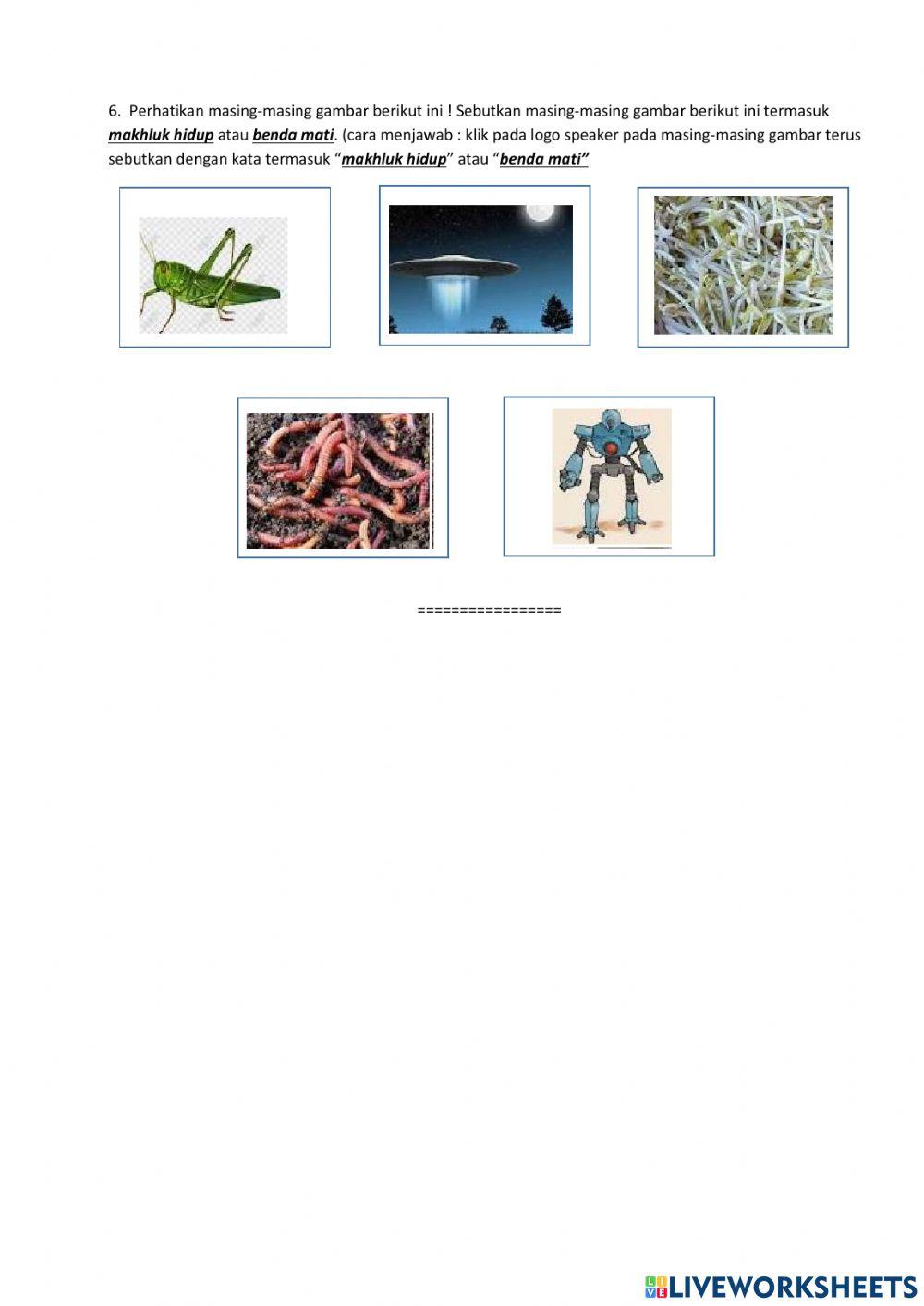 Ciri-Ciri Makhluk Hidup