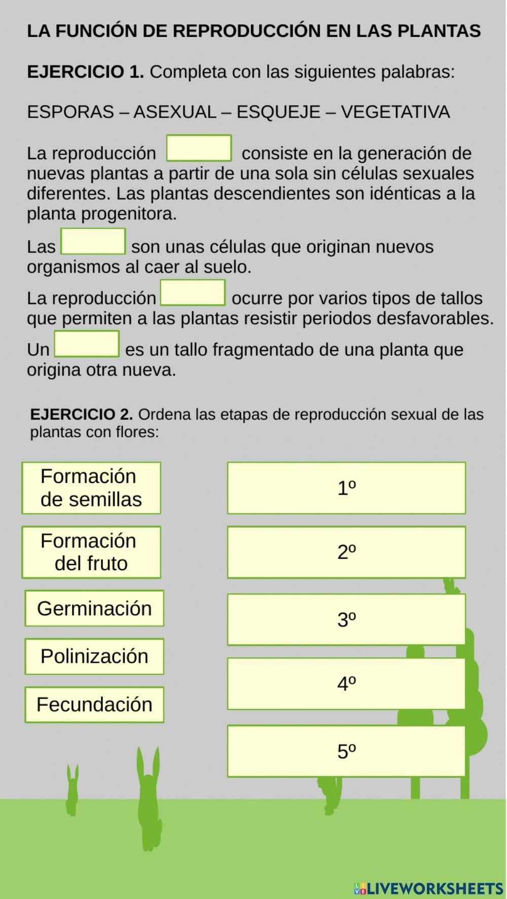 La función de preoducción en las plantas