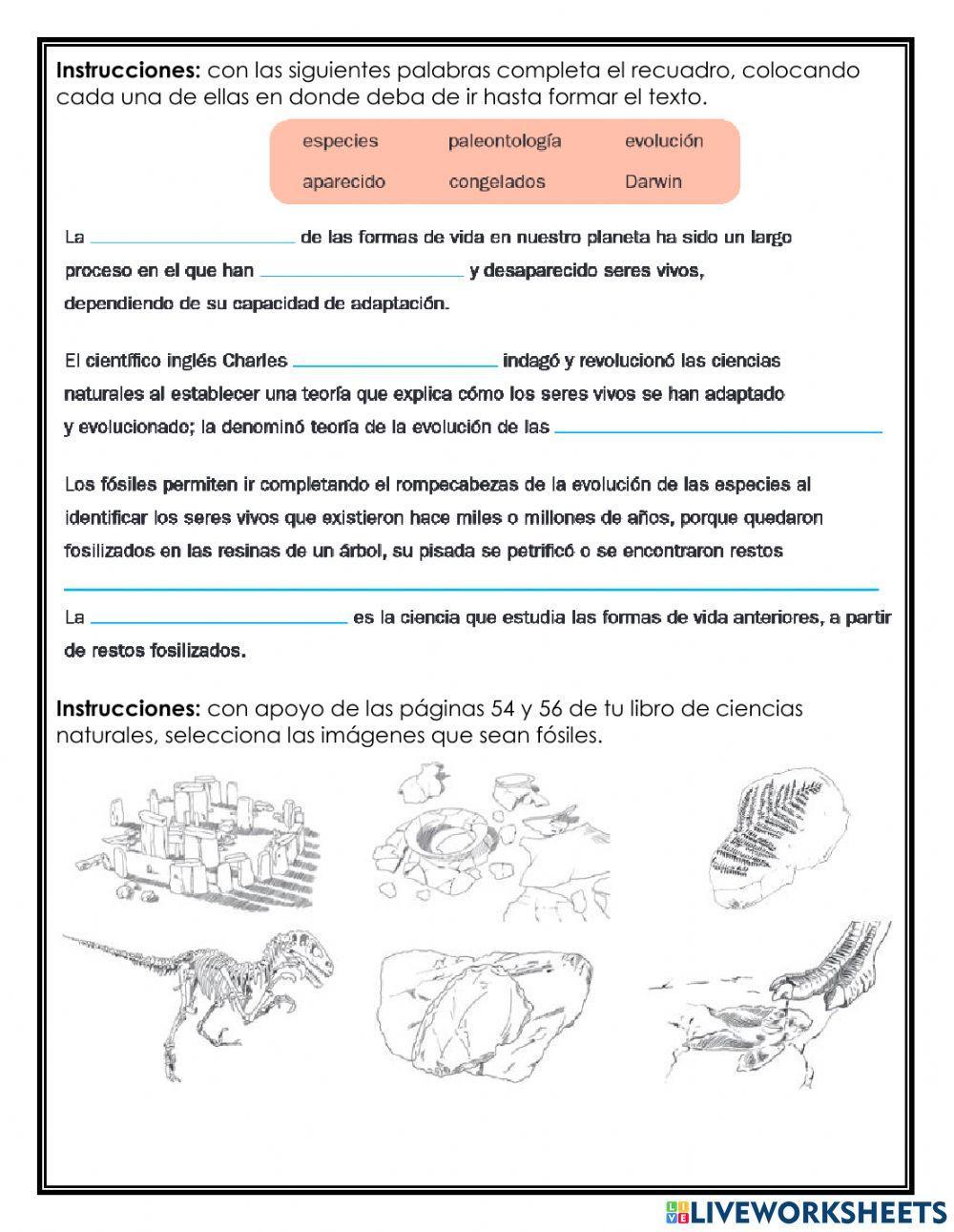 Bloque 2: ¿Cómo somos los seres vivos?