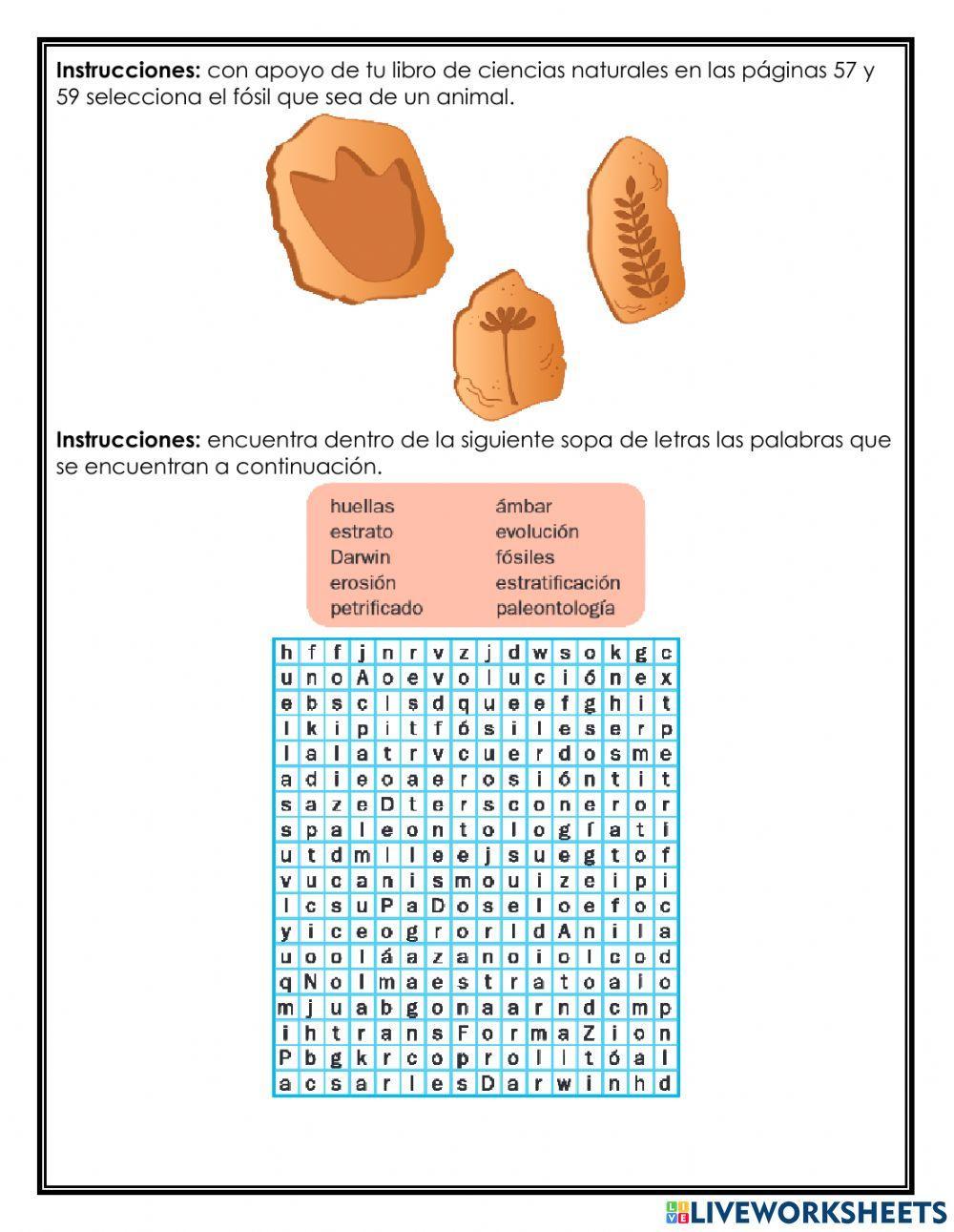 Bloque 2: ¿Cómo somos los seres vivos?