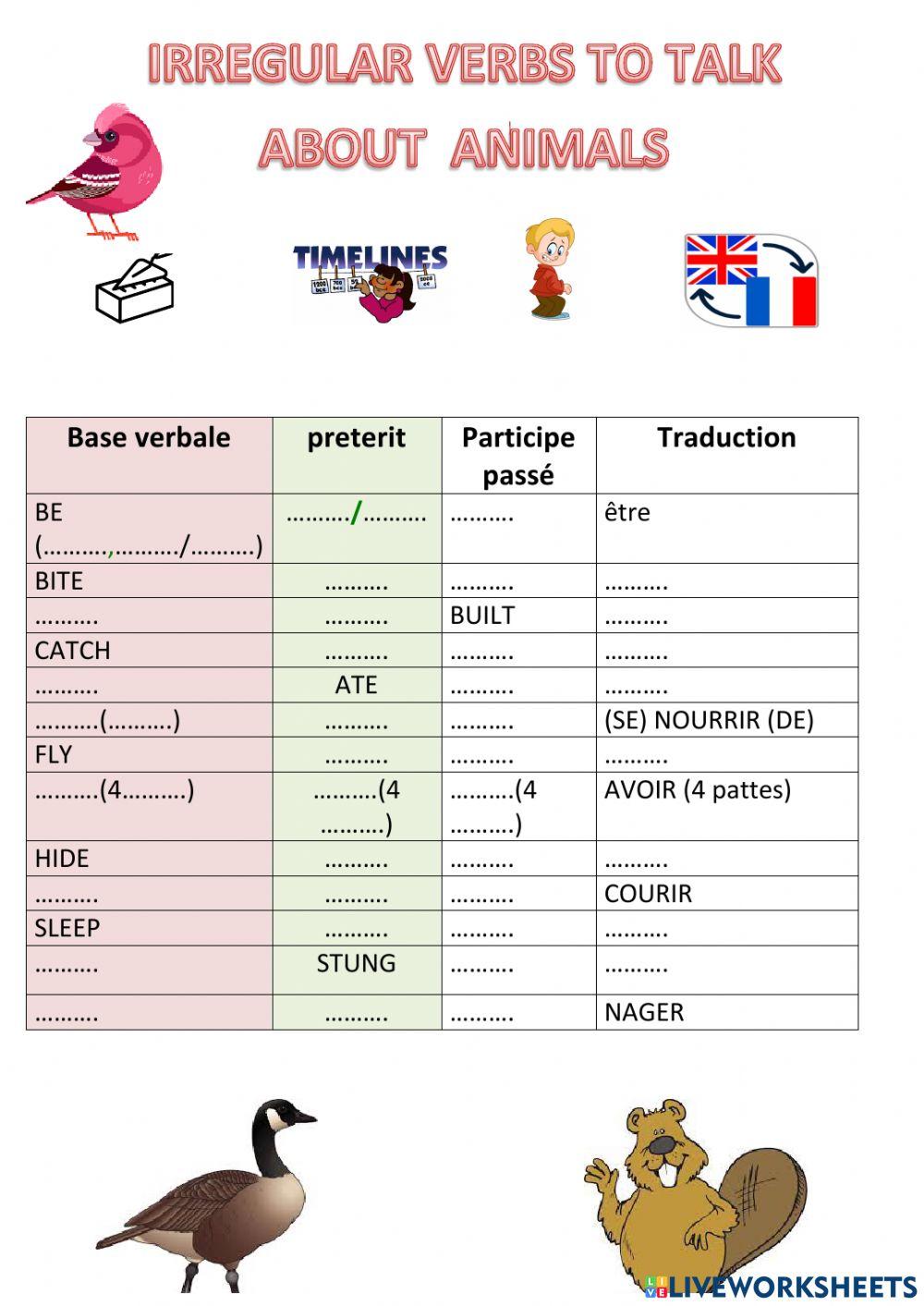 Irregular verbs about animals