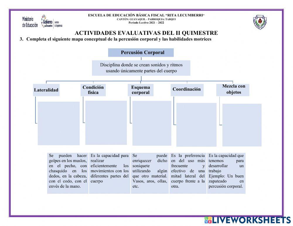 Actividad Evaluativa Educación Física 7mo
