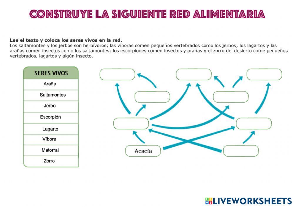 Red alimentaria