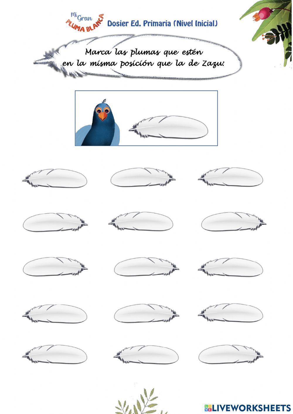 Orientación y atención Pluma Blanca Primaria Inicial