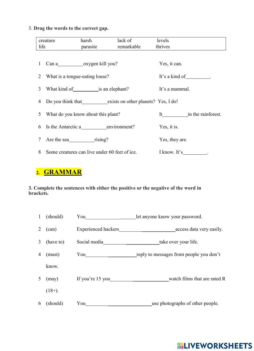 Quiz 2 second trimester