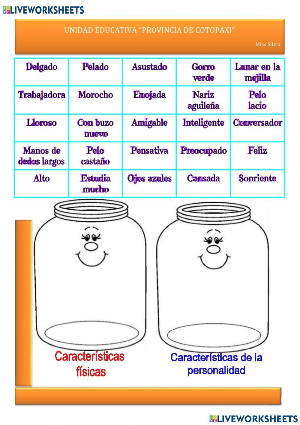 Características externas e internas