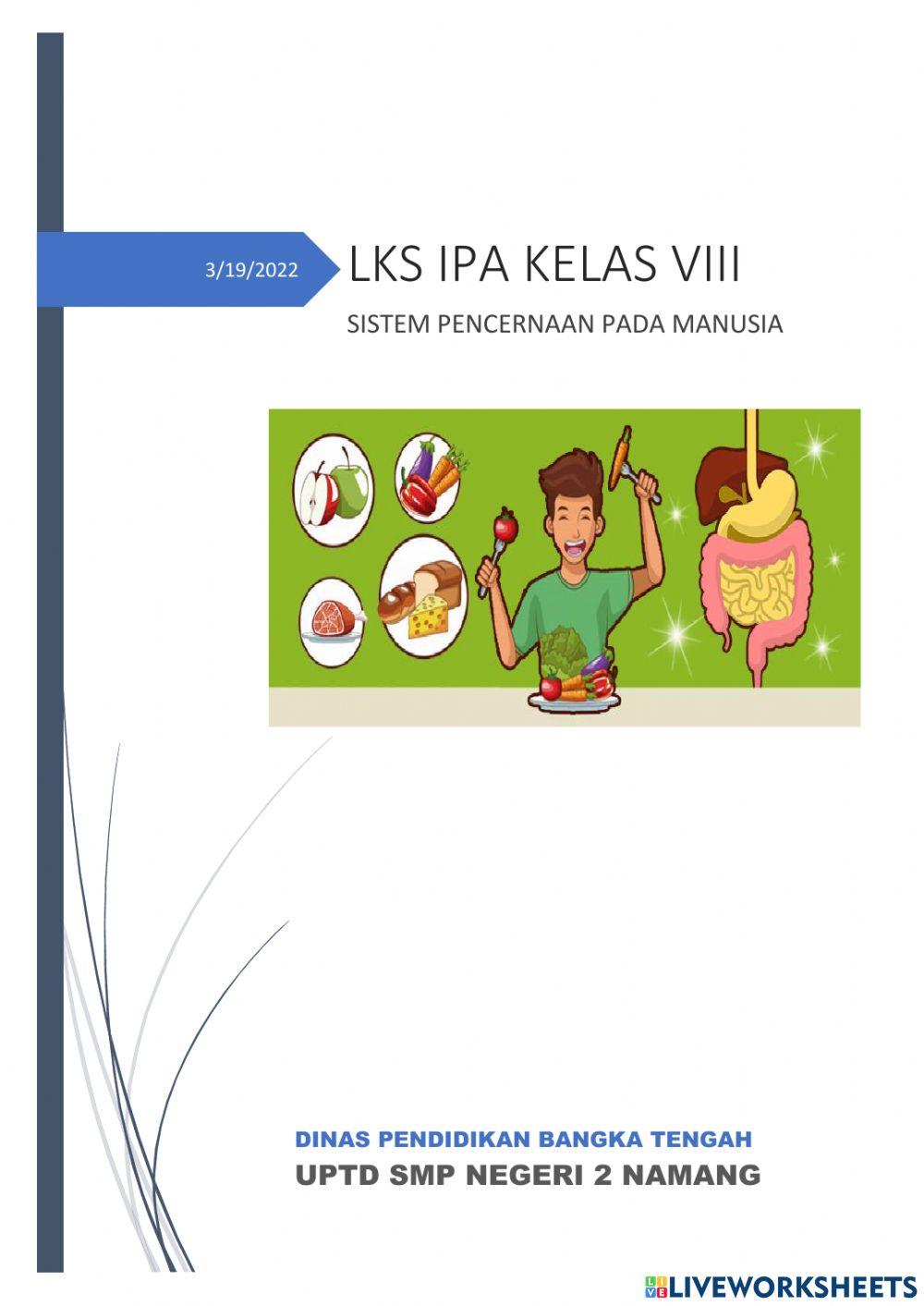 Sistem Pencernaan Manusia