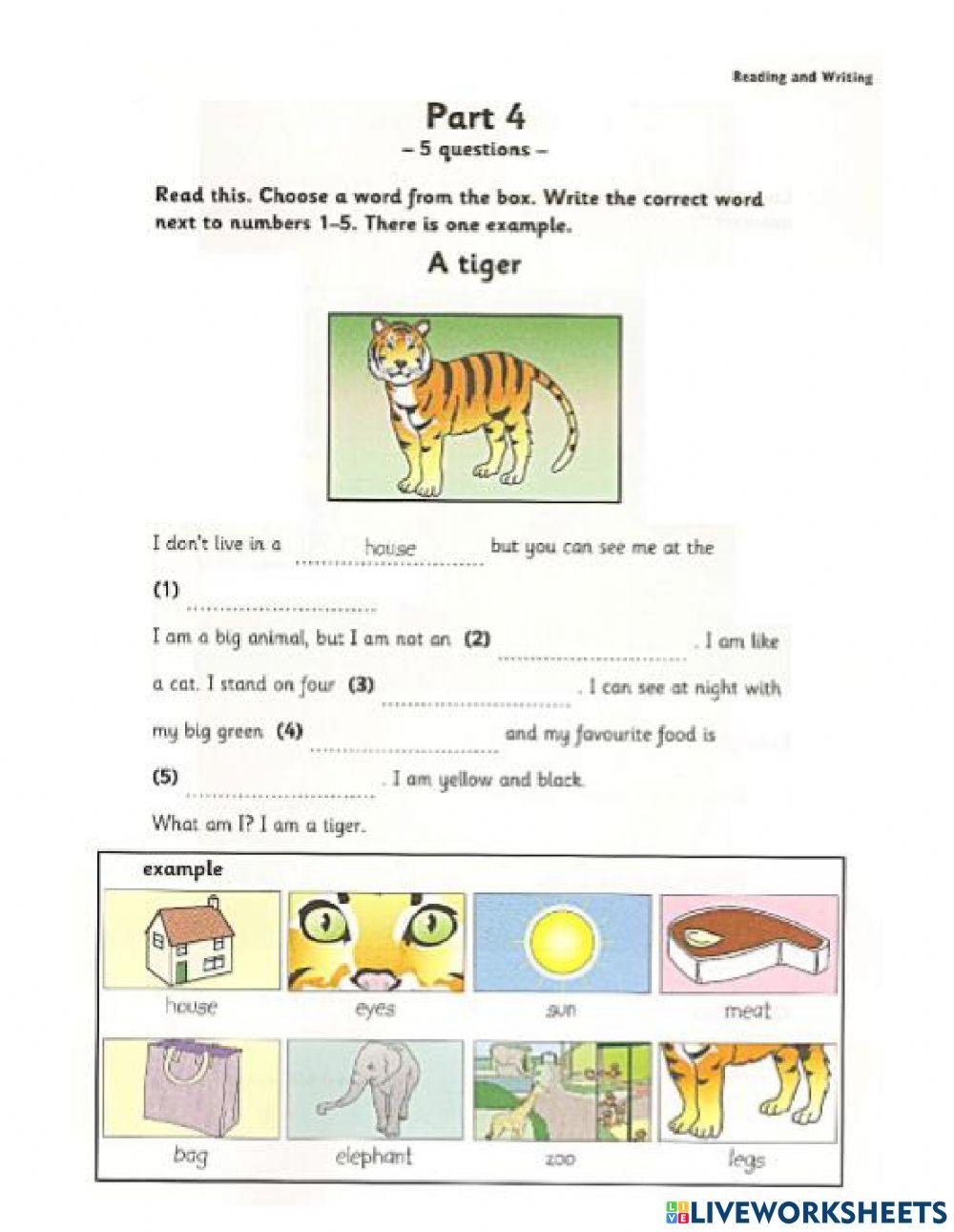 Starters 5 Test 1 Reading - writing