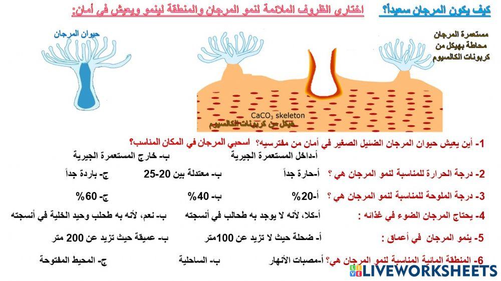 بيئة الشعاب المرجانية