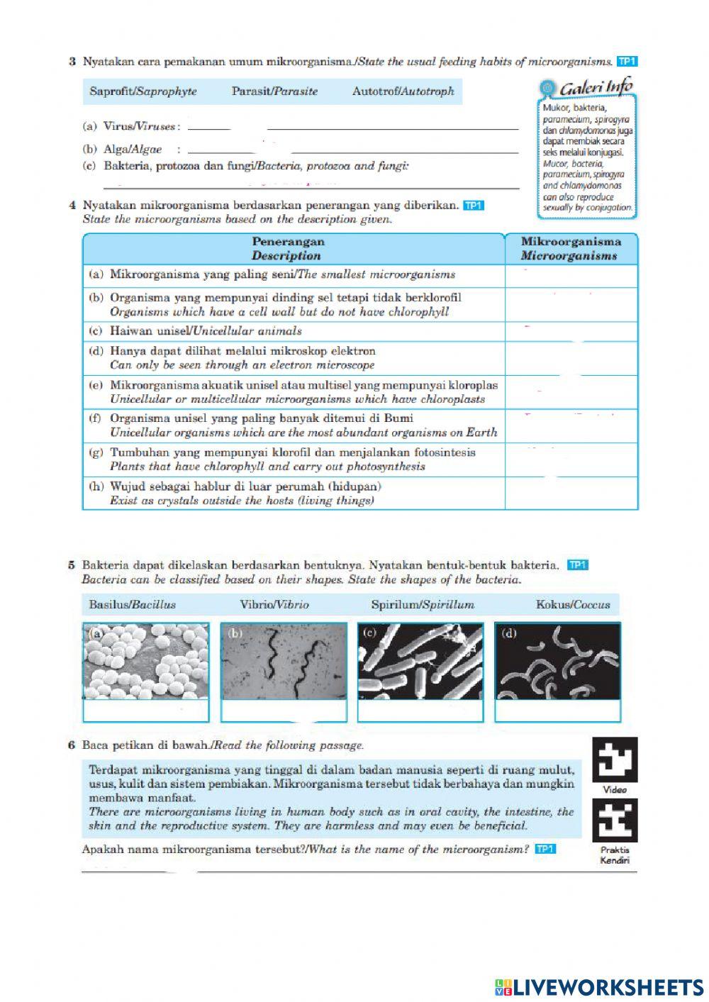 Bab 1 : mokroorganisma