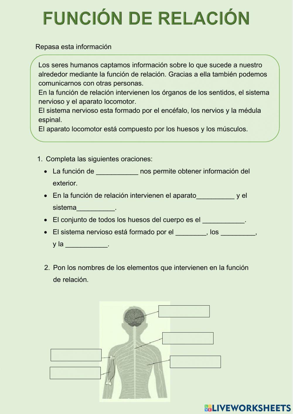 Función de relación