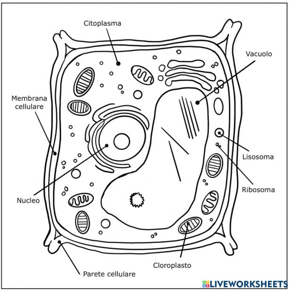 3 Years 7 Months In Months
