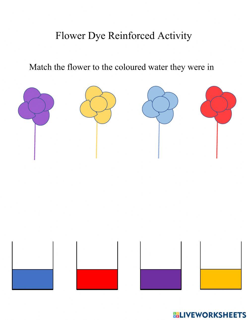 Flower Dye Reinforcement Activity
